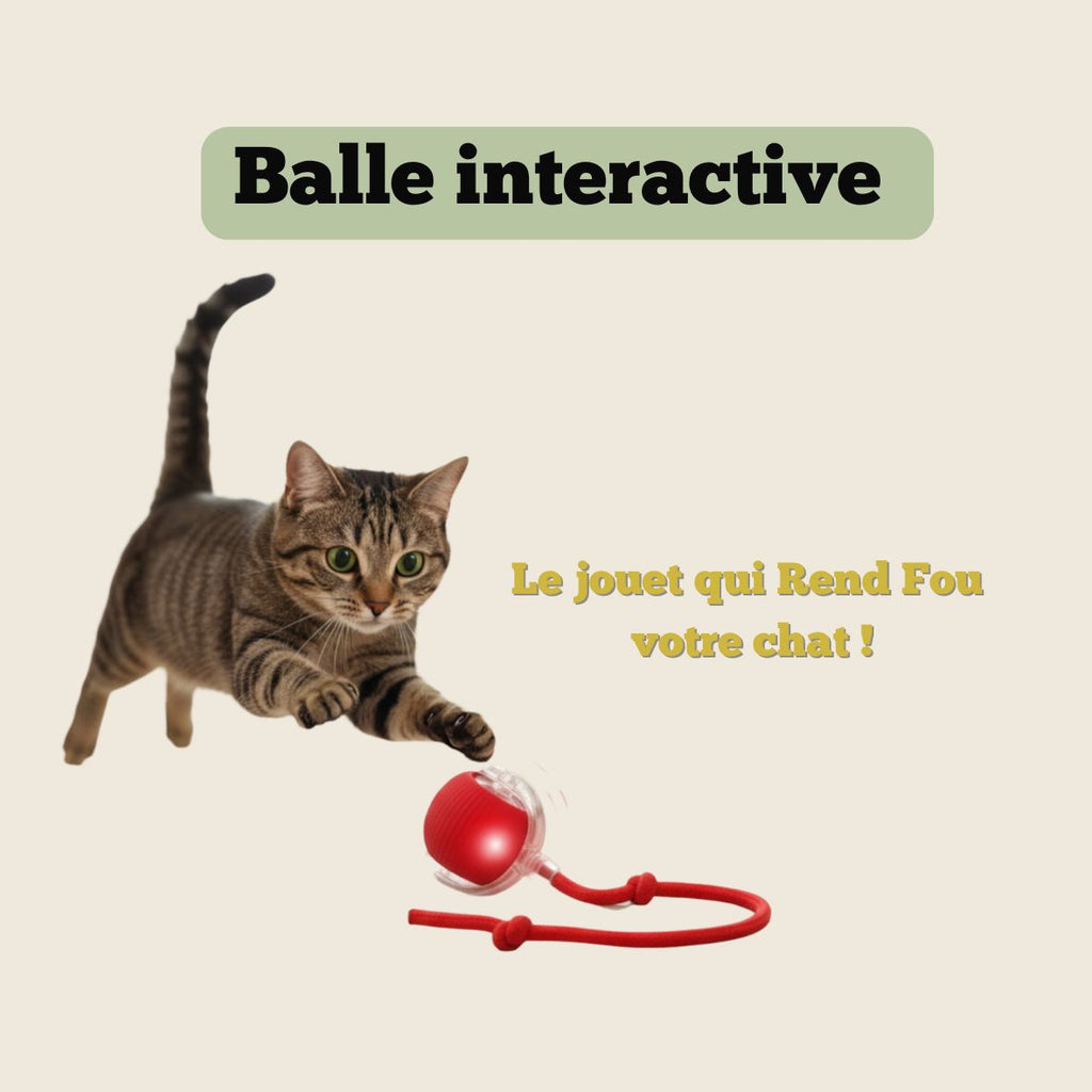 Balle Interactive Pour Chat