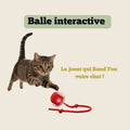 Balle Interactive Pour Chat