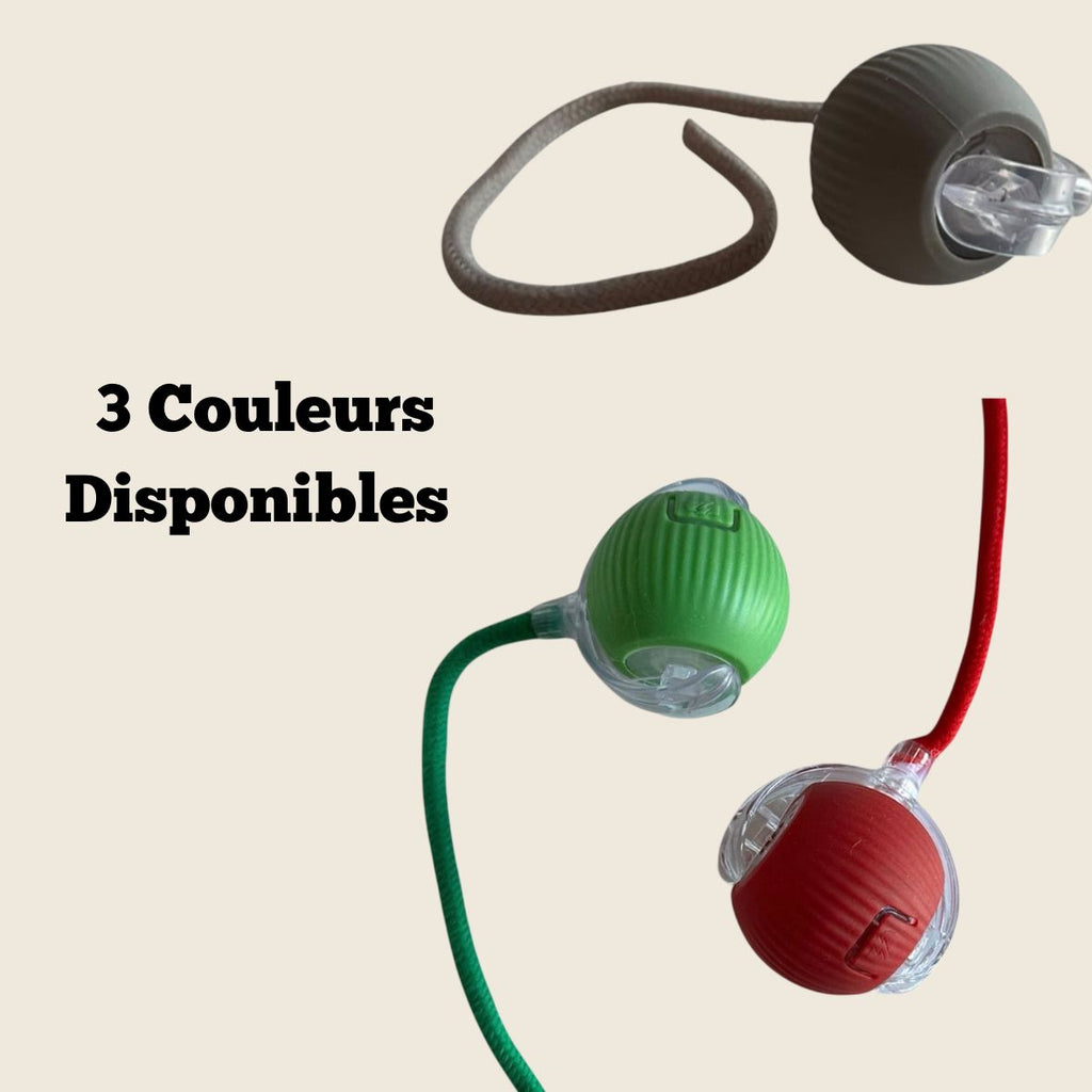 Balle Interactive Pour Chat