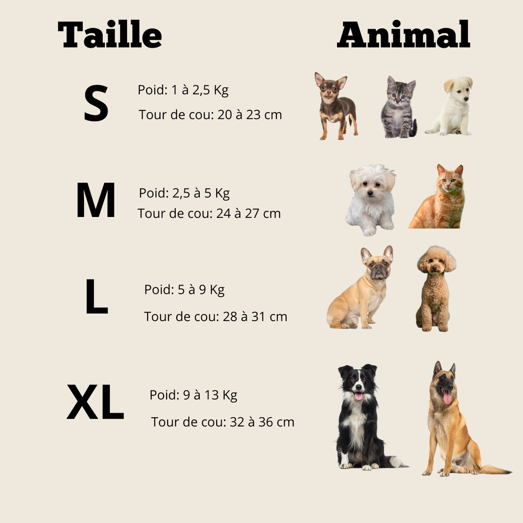 Collerette Chat Chien Post-Opératoire , Confortable & Ajustable