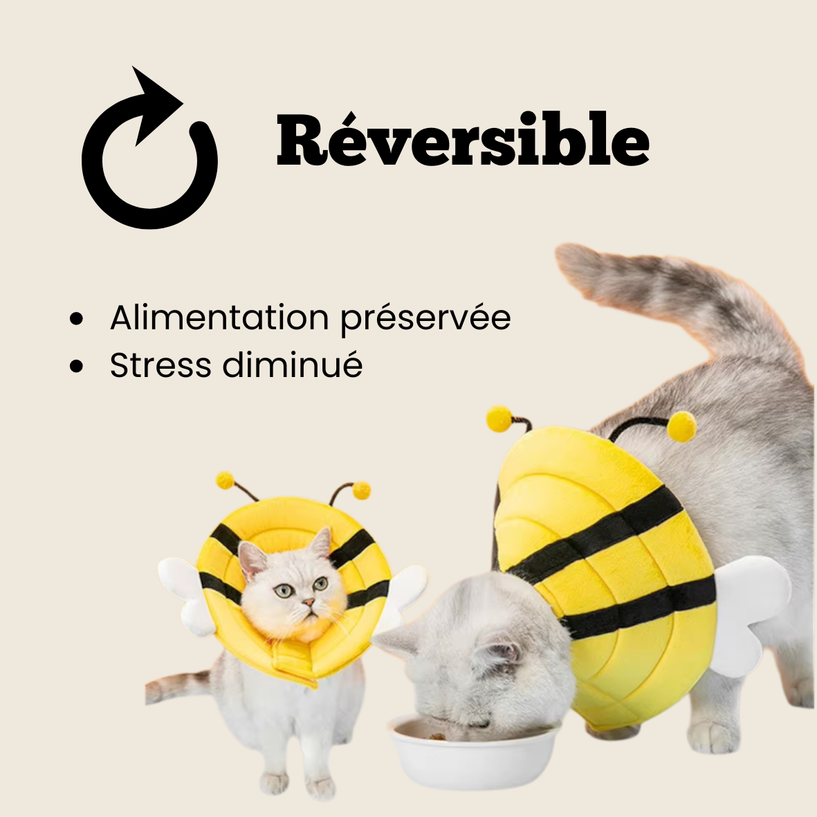 Collerette Chat Chien Post-Opératoire , Confortable & Ajustable