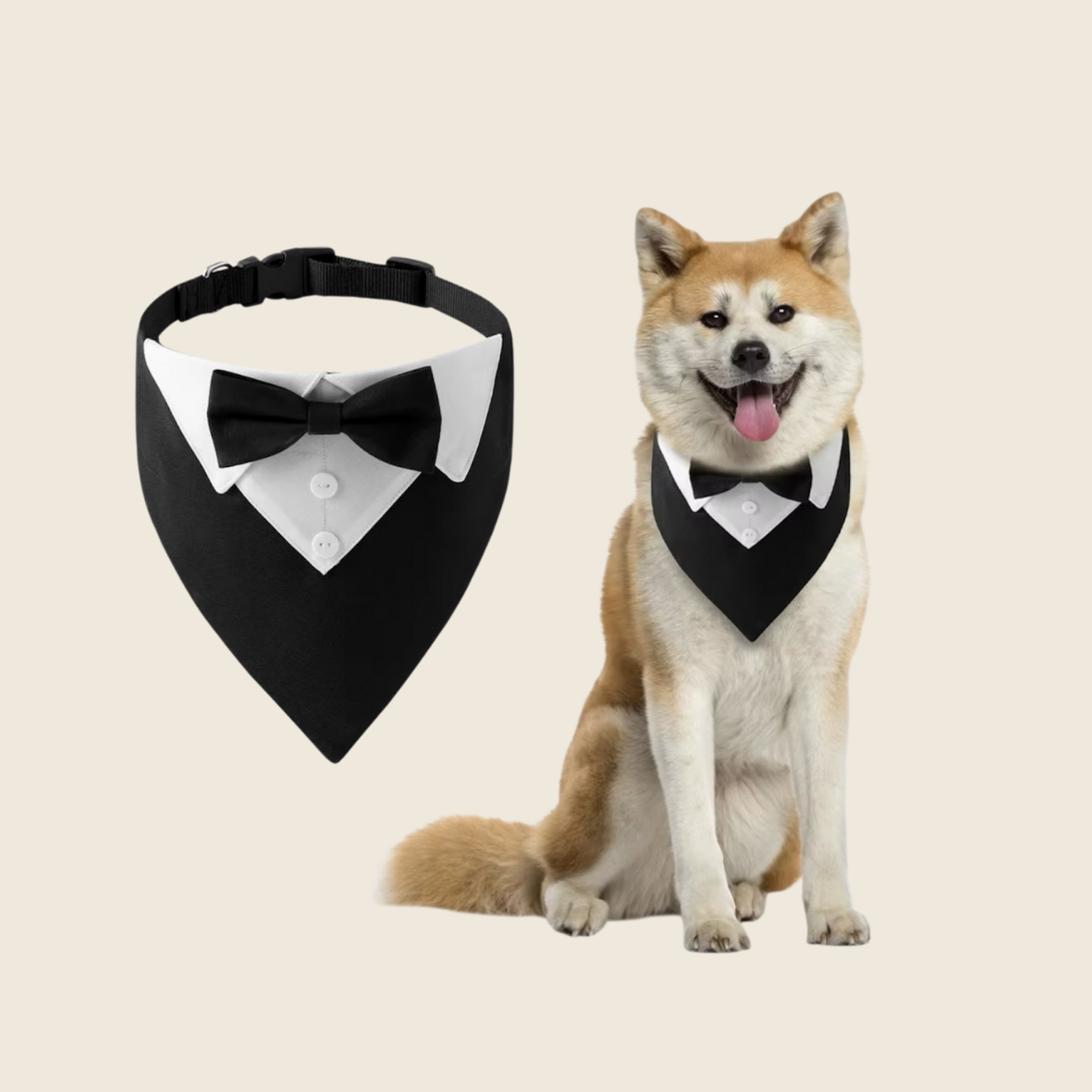 Collier Smoking Chien avec Nœud Papillon - Élégant Gentleman