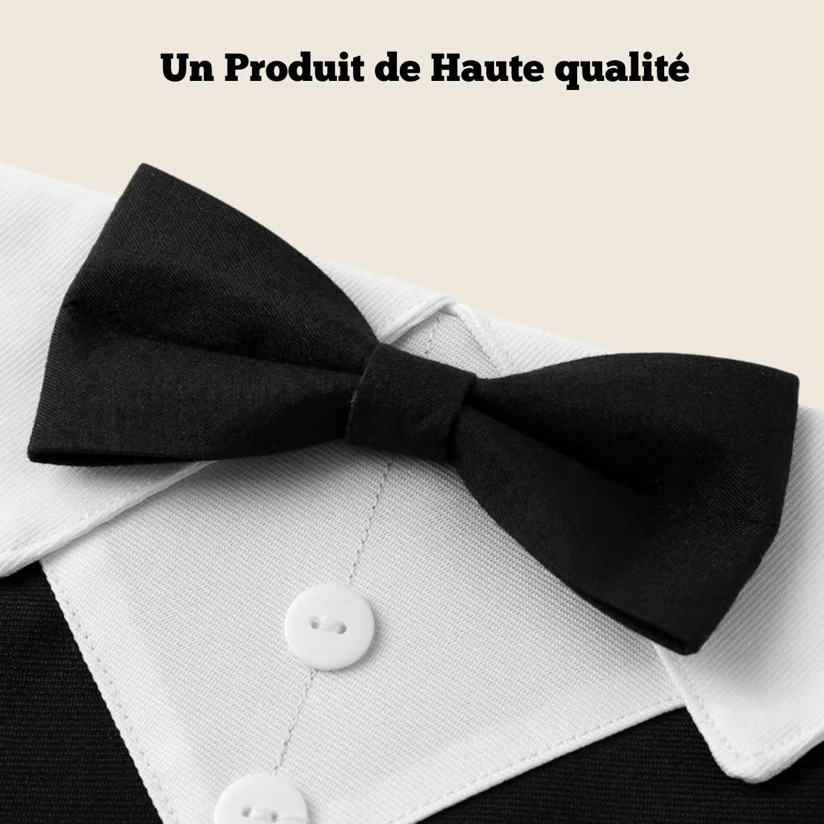 Collier Smoking Chien avec Nœud Papillon - Élégant Gentleman