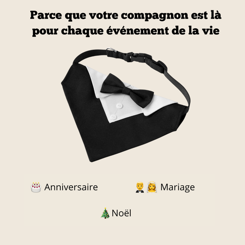 Collier Smoking Chien avec Nœud Papillon - Élégant Gentleman