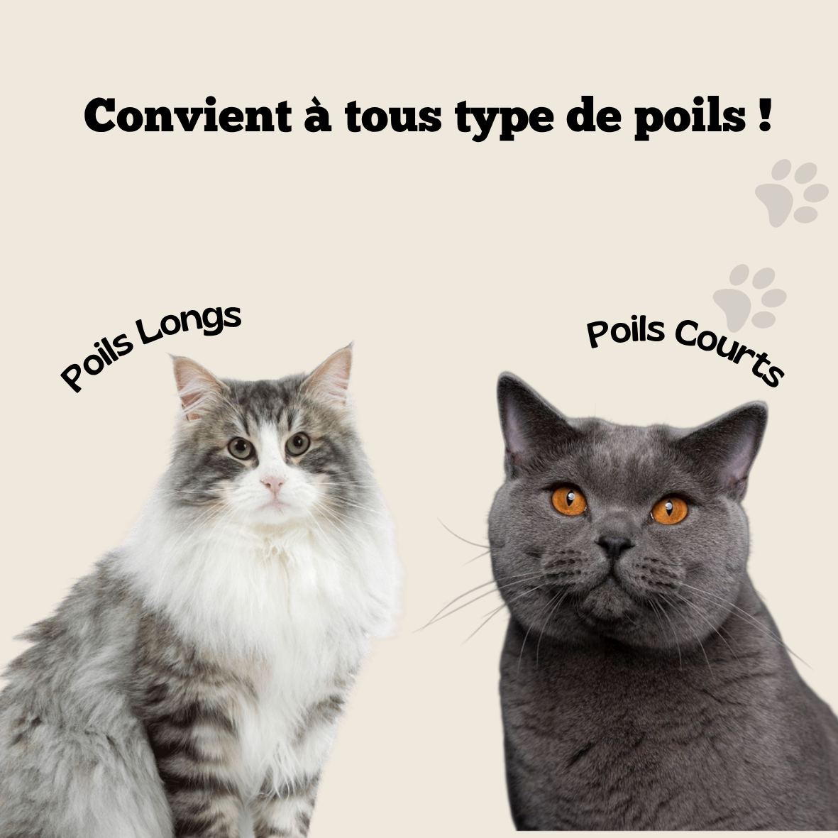 Brosse Anti-Poils Pour Chat