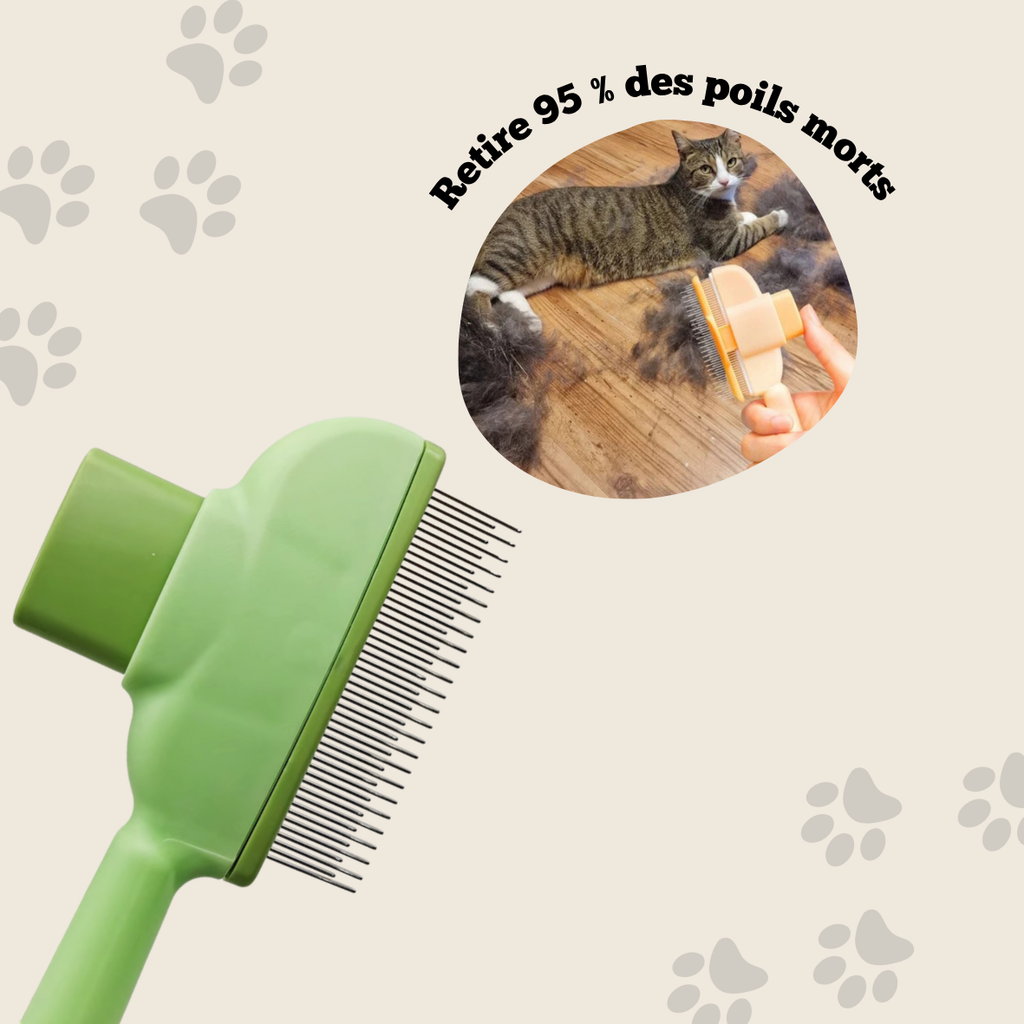 Brosse Anti-Poils Pour Chat