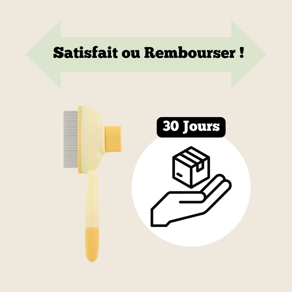 Brosse Anti-Poils Pour Chat