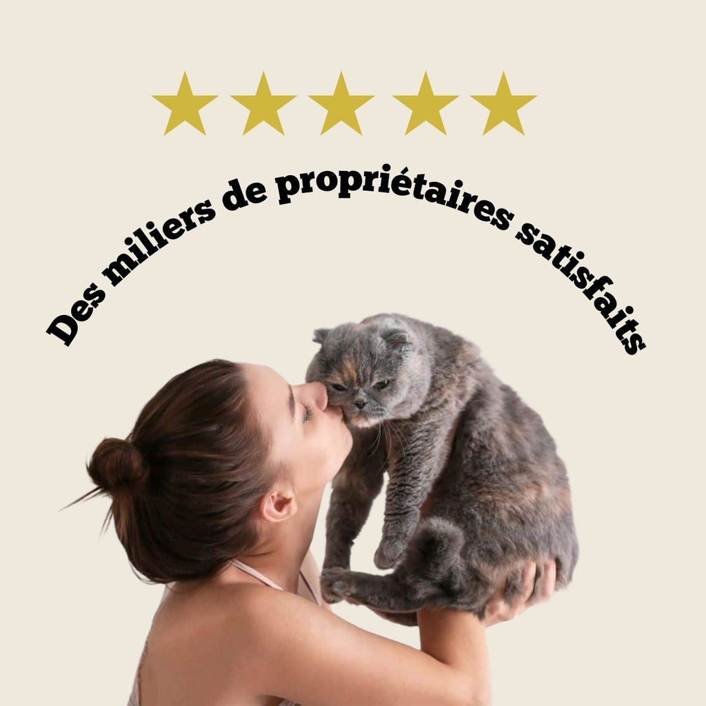 Balle Interactive Pour Chat