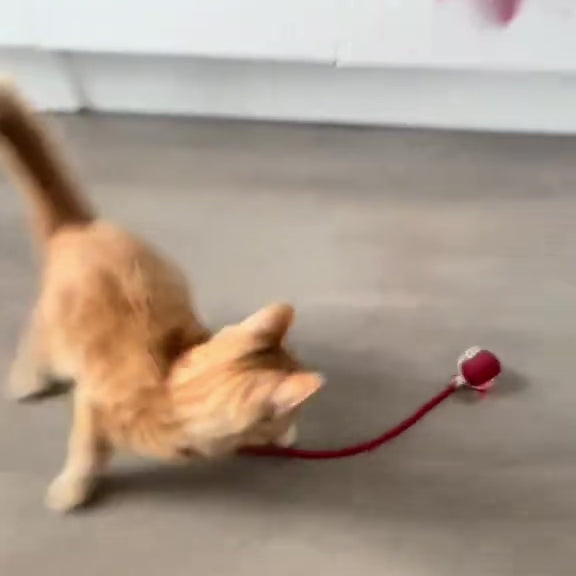 Balle Interactive Pour Chat